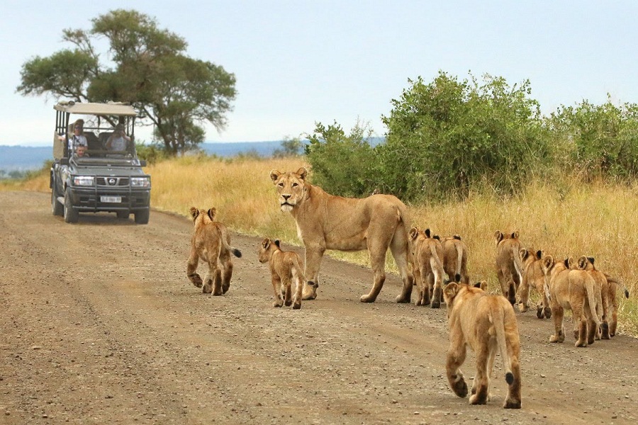 Kruger National Park