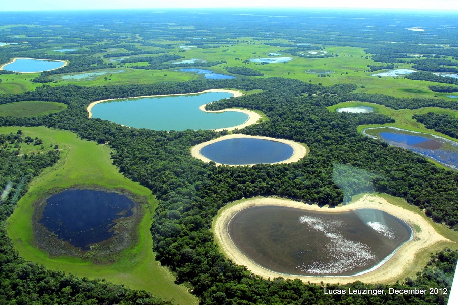 The Pantanal