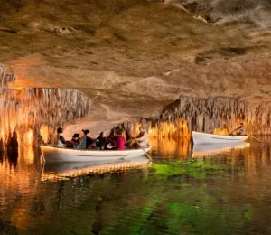 Drach-in-Mallorca