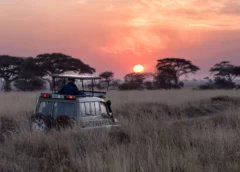 namibia-luxury-safari