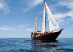 Boat-Trip-in-Tenerife