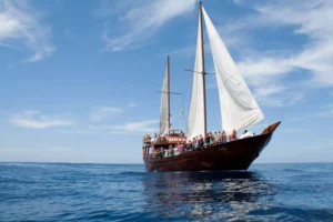 Boat Trip in Tenerife Boat-Trip-in-Tenerife