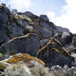 a large rocks with moss on them