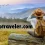 Exploring Hoptraveler.com: Your Ultimate Guide to Adventure and Travel