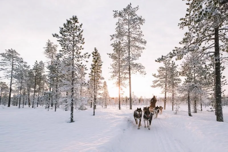Lapland Vacation Lapland Vacation