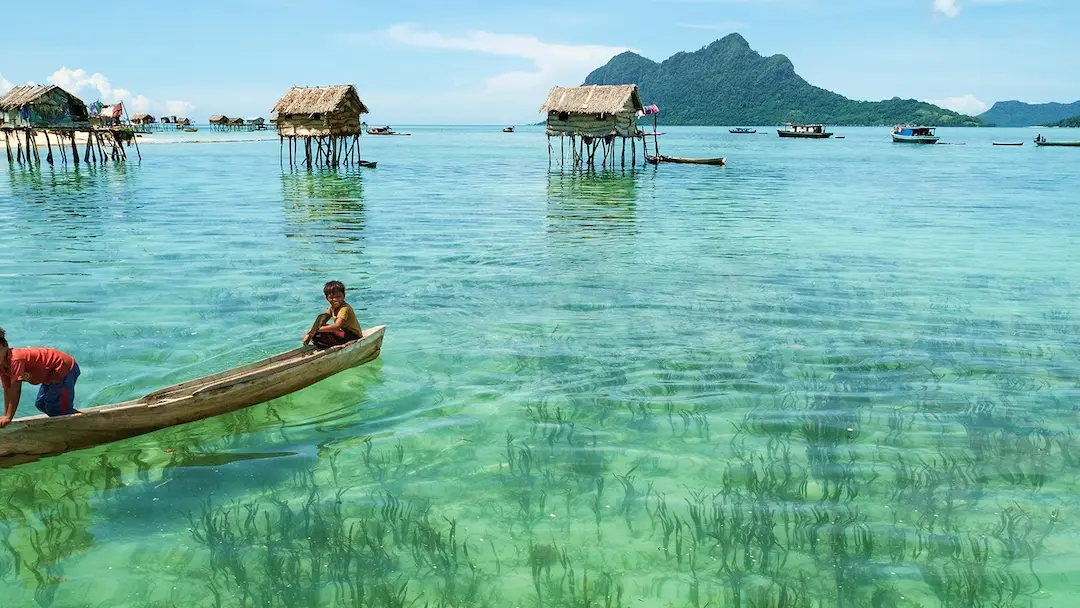 Best Time to Visit Borneo for Wildlife Lovers