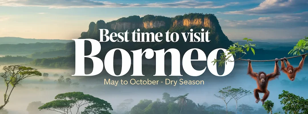 best time to visit borneo best time to visit borneo