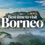 Discover the Best Time to Visit Borneo for Wildlife, Weather, and Adventure best time to visit borneo