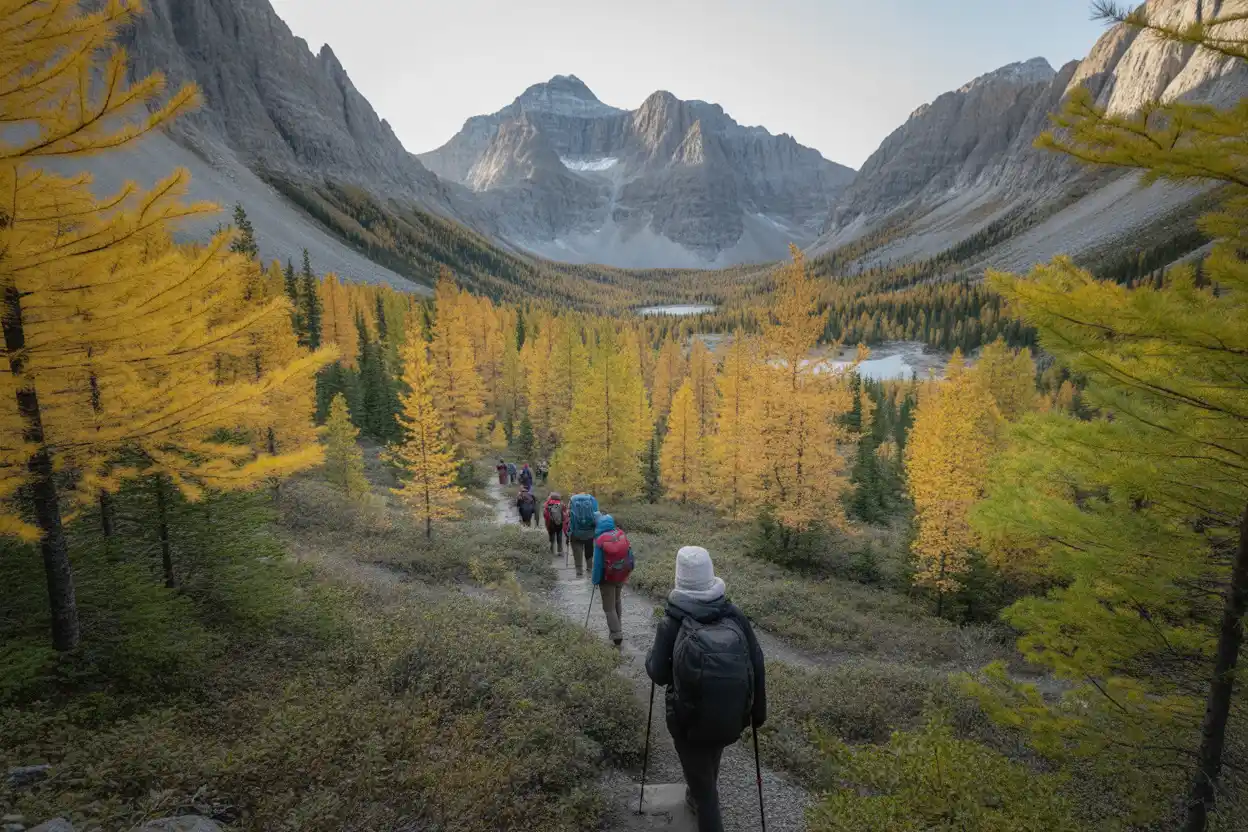 Best Time to Visit Larch Valley Hike
