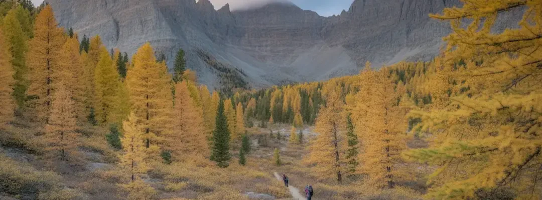 Larch Valley Hike