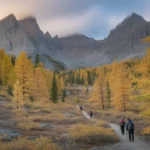 Larch Valley Hike: Your Ultimate Guide to Scenic Trails and Autumn Views Larch Valley Hike
