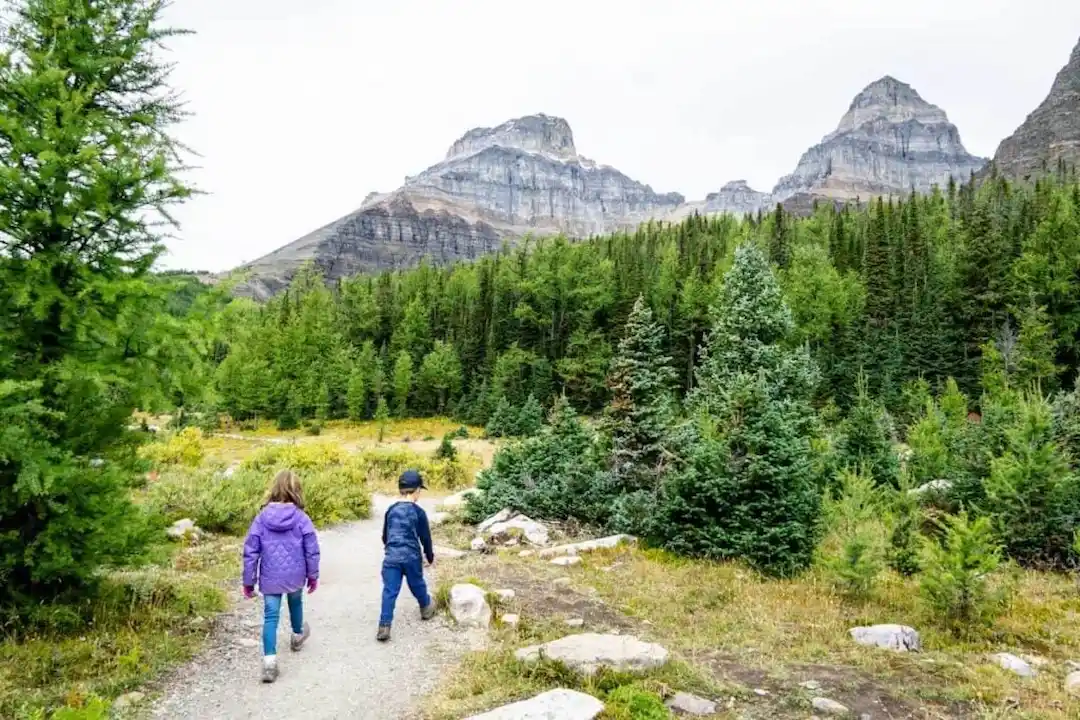 Pack for Larch Valley Trail
